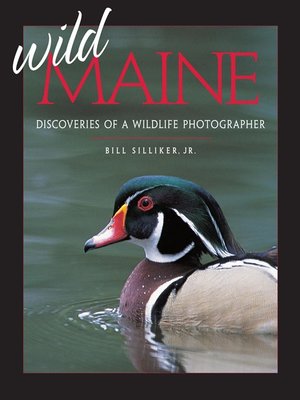 cover image of Wild Maine